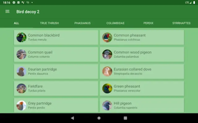 Decoy on the field bird android App screenshot 1