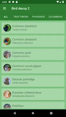 Decoy on the field bird android App screenshot 4